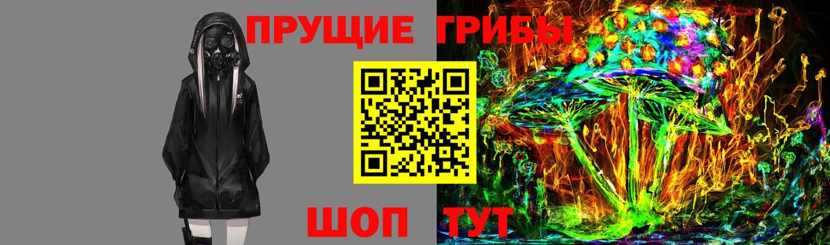 Псилоцибиновые грибы Cubensis  Вход с VPN  Псилоцибиновые грибы ЛСД  Донецк 